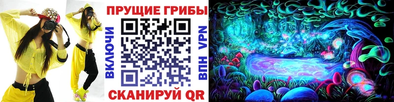 Галлюциногенные грибы MAGIC MUSHROOMS  сайты даркнета официальный сайт  Вичуга  дарнет шоп 