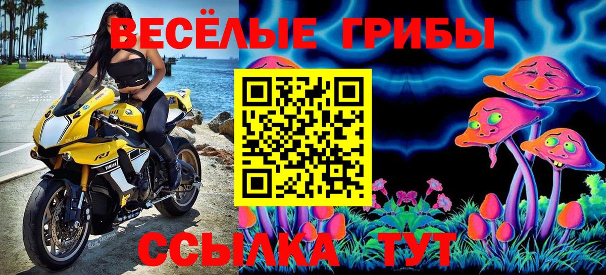 Псилоцибиновые грибы Magic Shrooms Вичуга