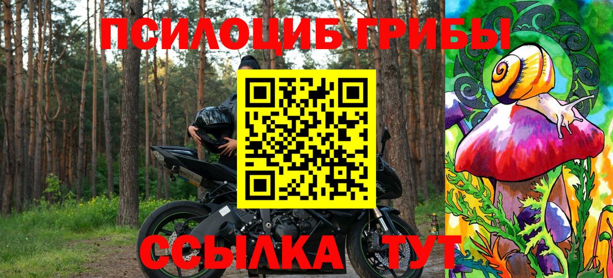 Галлюциногенные грибы GOLDEN TEACHER  Вичуга 