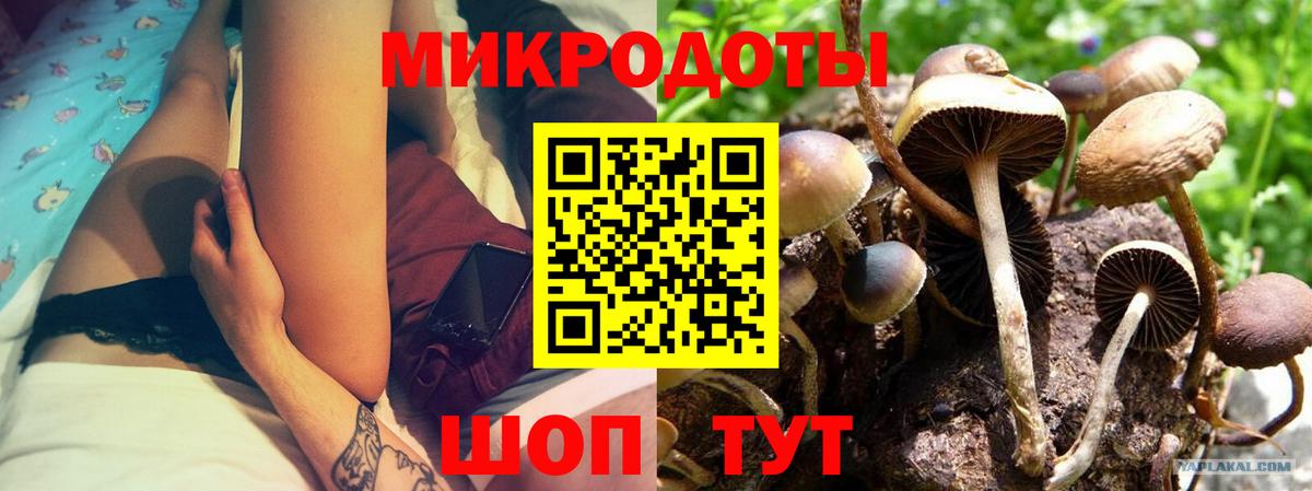 наркотики  Вход с VPN  Вичуга  Псилоцибиновые грибы мицелий 