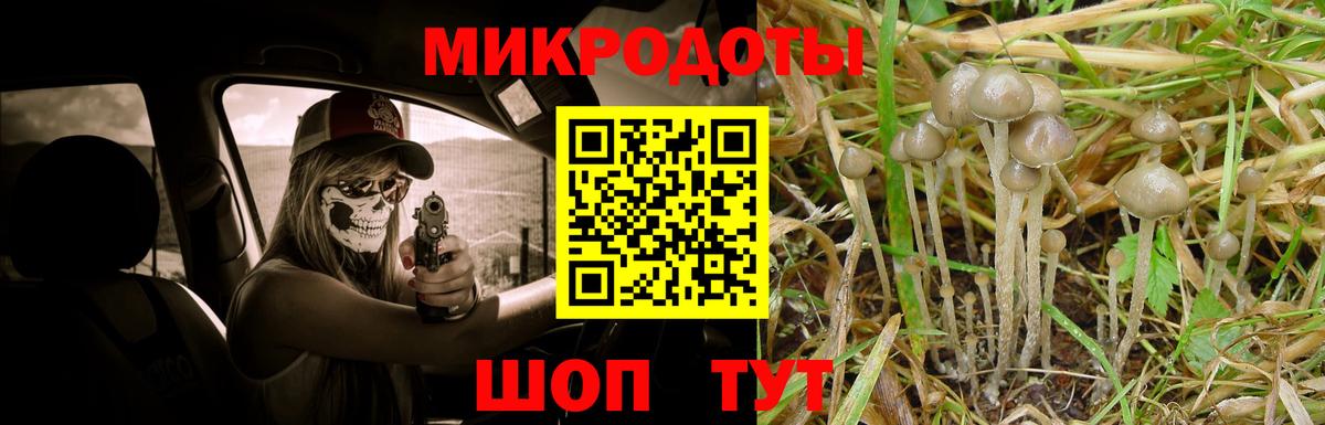 Псилоцибиновые грибы Magic Shrooms Вичуга